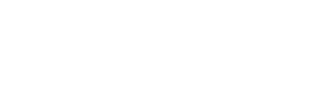 NEUXS SALES PARTNER LIMITED