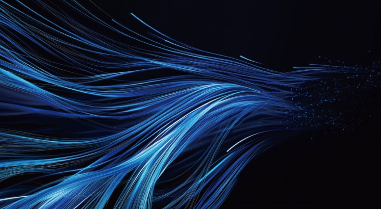 OTHER ANALOGS 6METHYL NICOTINE